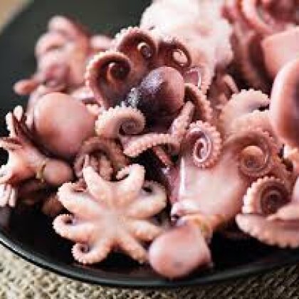 Молодые осьминоги мороженые(OCTOPUS VULGARIS) Китай